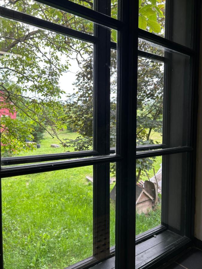 Popice Hideaway Daire Znojmo Dış mekan fotoğraf