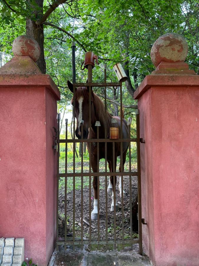 Popice Hideaway Daire Znojmo Dış mekan fotoğraf