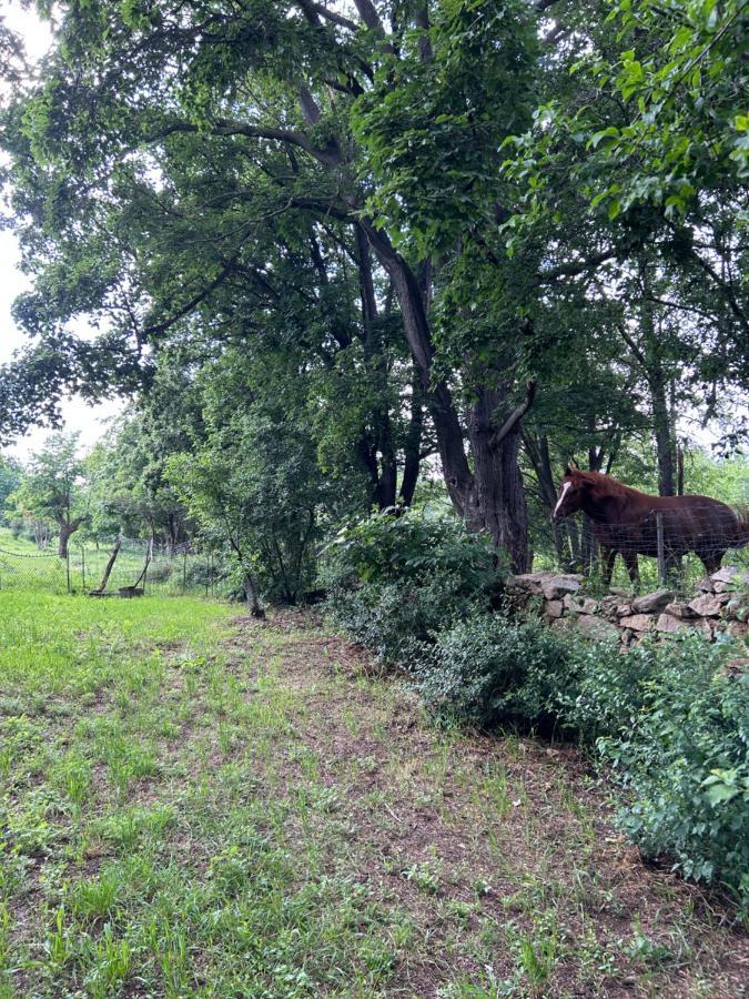 Popice Hideaway Daire Znojmo Dış mekan fotoğraf